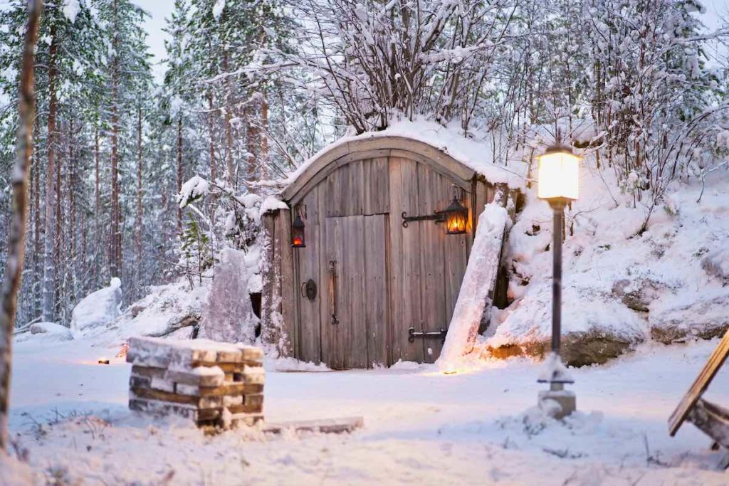 Lapland with Mushrooms for Santa