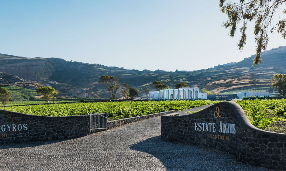 Discover the Best Wineries
