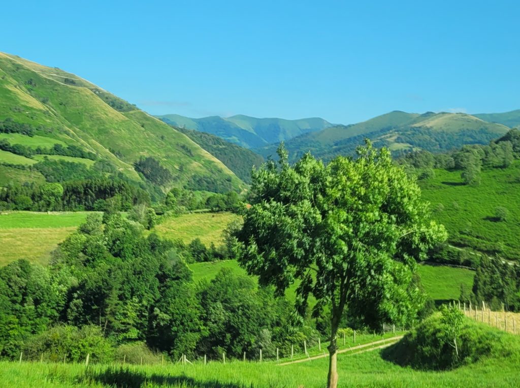 Cantabrian Mountains