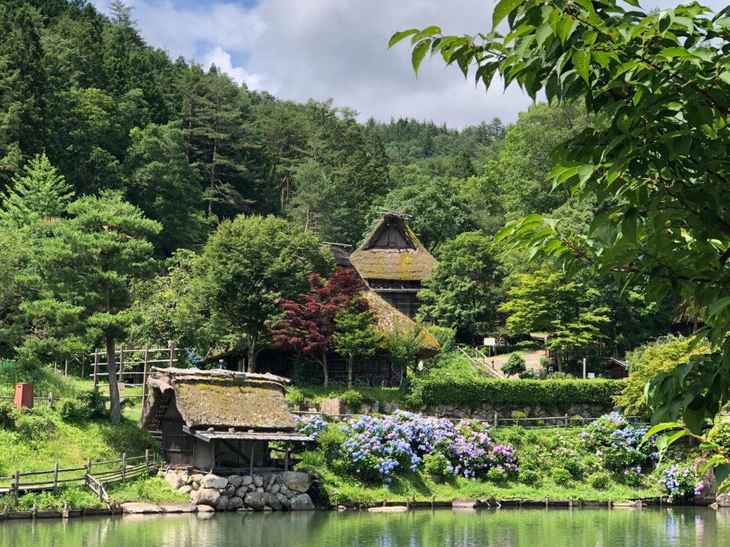 Beautiful green foliage, and traditional Japanese architecture and you can see the Japanese gardens, a lake and blue coloured blooms in this photograph