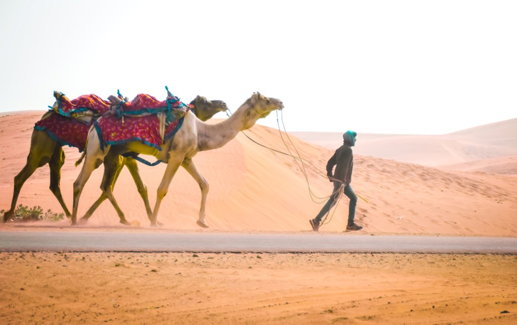 Desert Experiences Around The World