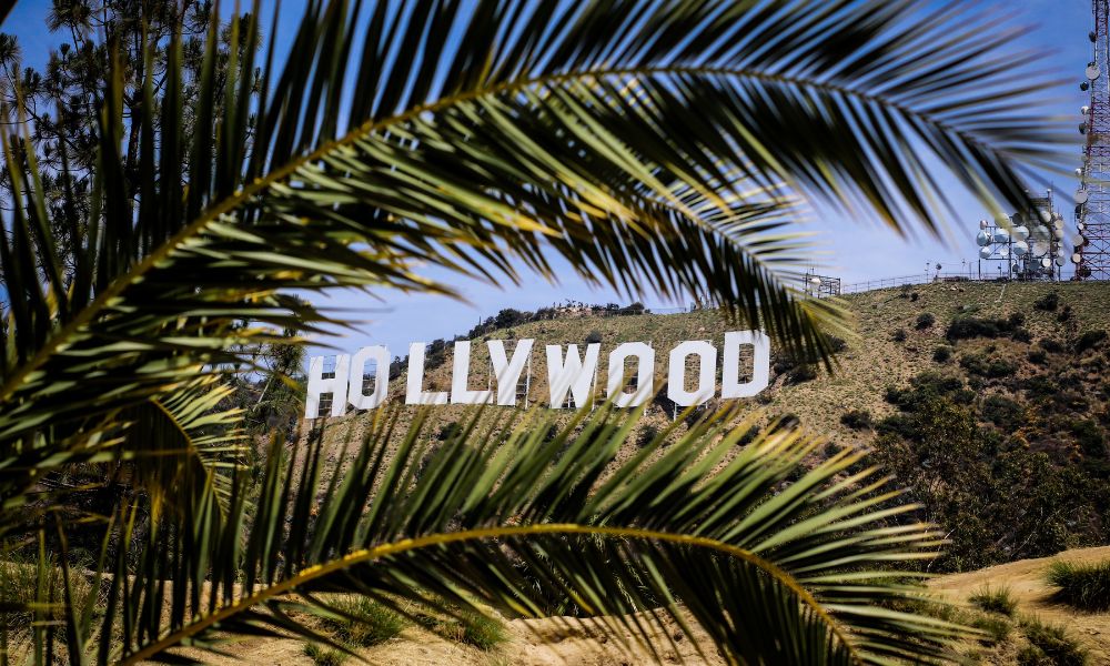 The Hollywood sign with palm leaves in the view, a part of the itinerary in the Route 66 holiday offer
