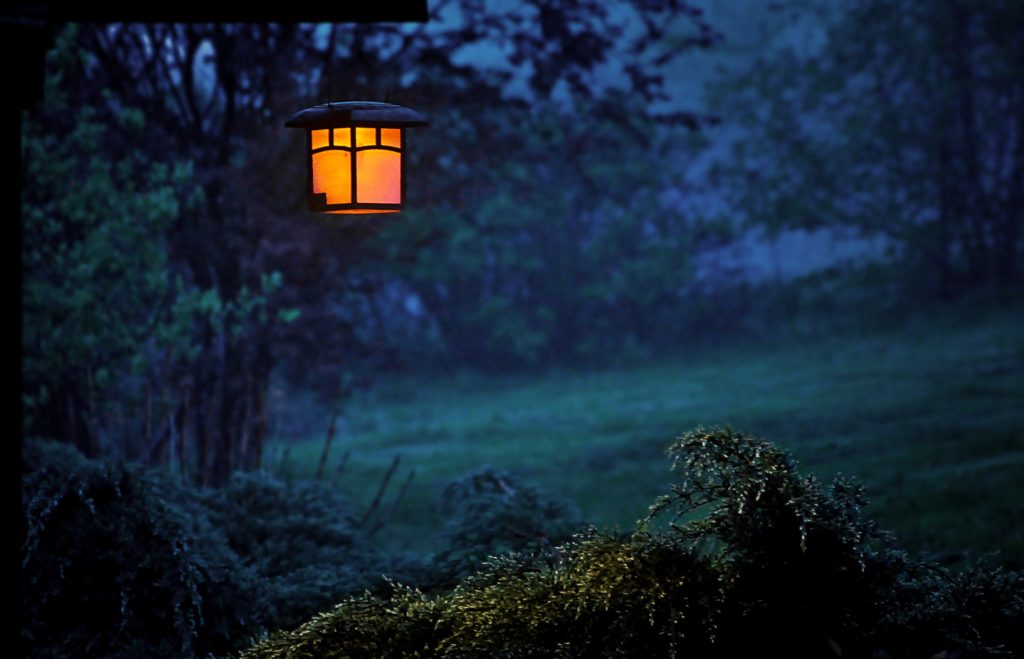A sole lantern hung on a branch of a tree provides some light in an otherwise foggy landscape where everything is dark and a little ghostly/spooky.
