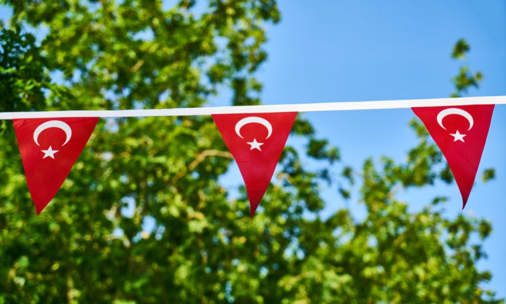 Green landscape showing red Turkish flags and symbols on a bunting