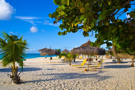 A beach with beach huts in Aruba