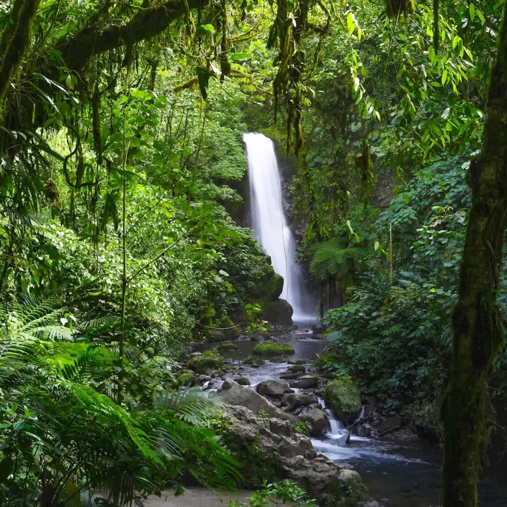 A waterfall in a rainforest - idea to spend May bank holiday 
