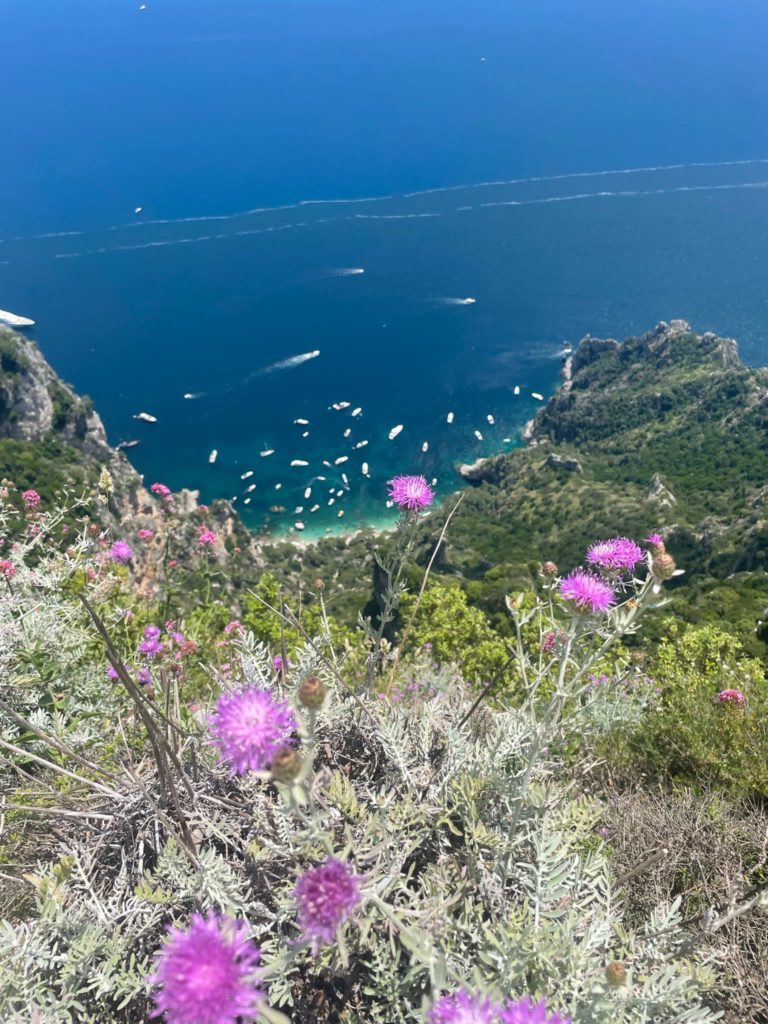 Capri island travel guide
